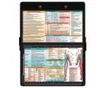 WhiteCoat Clipboard® - Black Occupational Therapy Edition